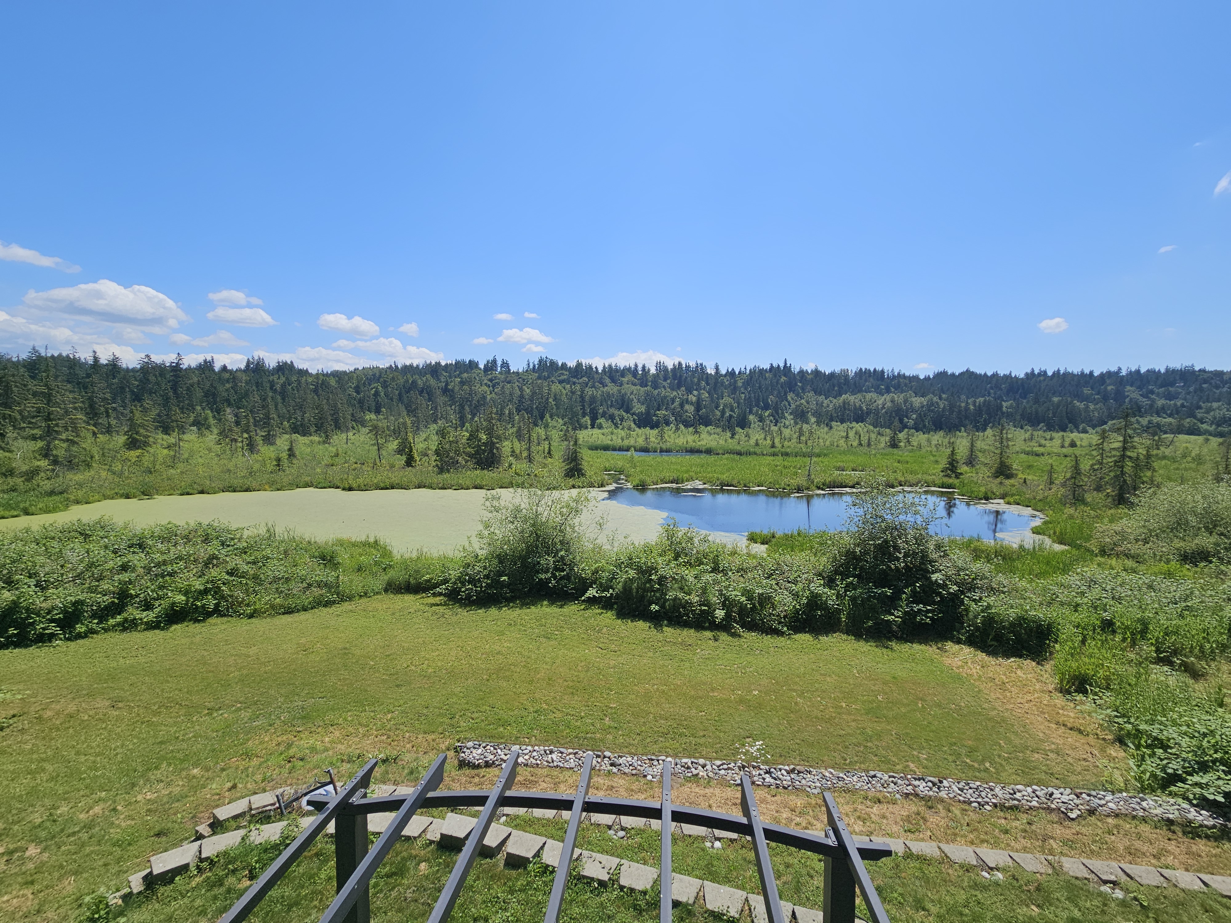 The view from my deck.